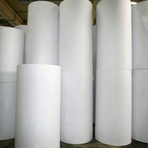 Industria Papelera y Tissue