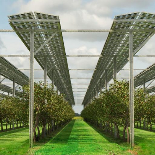 PV Panele über landwirtschaftlicher Nutzfläche mit PV-Unterkonstruktionen von voestalpine