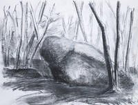 Blockheide, Graphit/Kreide, 20 x 30 cm