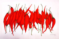 Pepperoni, Kreide, 40 x 50 cm
