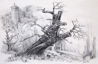 Wildberg, Zeichnung, 30 x 40 cm