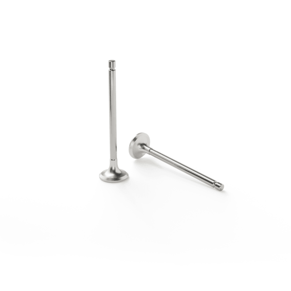 Auf weißem Hintergrund sind zwei metallische Motorventile aus Ventilstahl abgebildet, eines stehend, das andere liegend, beide mit zylindrischen Schäften und flachen, runden Köpfen, wie sie für Rennsport- oder Automobilanwendungen typisch sind.