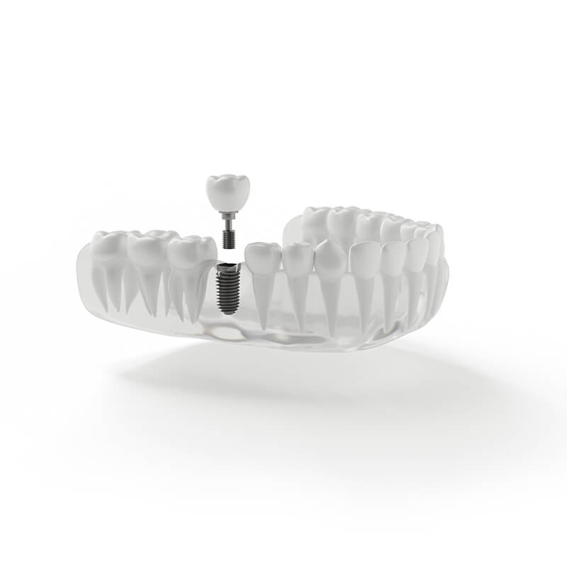 Stomatology