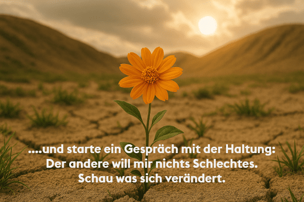 karge Landschaft. Eine einzelne organge Margerite im Vordergrund. Sonneschein, sanftes Licht