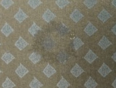 Dot-Bonding wet-embossed: kontrollierter Verlauf, Bruchbild des Klebstoffs zeigt ann&auml;hernd kreisrunde Form