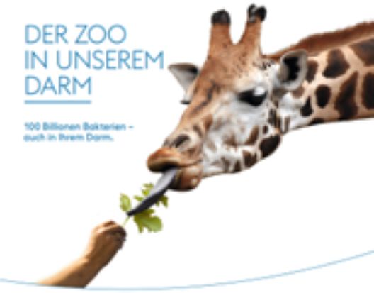 Informationskampagne zur Förderung von Gesundheit und bewusster Ernährung im Unternehmen.